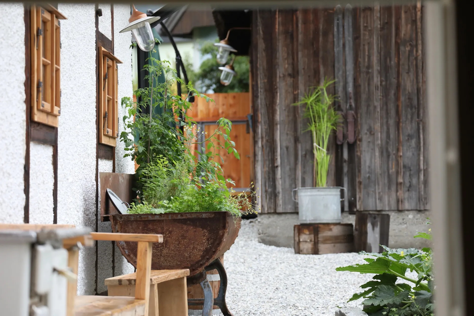 Blick in den Garten